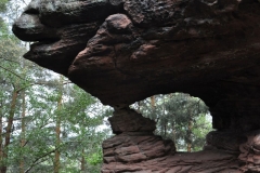19. Aktivwanderung 10.05.2014 005