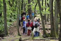 19. Aktivwanderung 10.05.2014 030