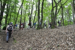 19. Aktivwanderung 10.05.2014 032