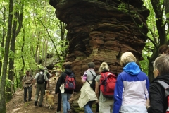 19. Aktivwanderung 10.05.2014 044