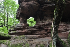 19. Aktivwanderung 10.05.2014 049