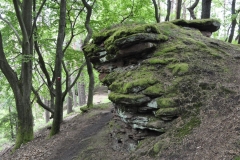 19. Aktivwanderung 10.05.2014 062