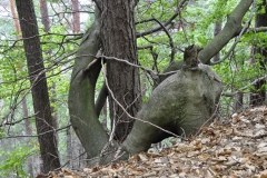 19. Aktivwanderung 10.05.2014 081