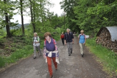 19. Aktivwanderung 10.05.2014 090