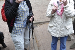 19. Aktivwanderung 10.05.2014 094