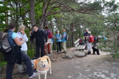 19. Aktivwanderung 10.05.2014