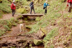 23. Aktivwanderung Rodalben 30.04.2016 020