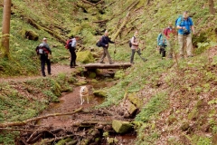 23. Aktivwanderung Rodalben 30.04.2016 023