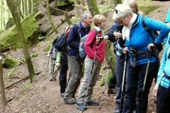 23. Aktivwanderung Rodalben 30.04.2016 025