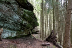 23. Aktivwanderung Rodalben 30.04.2016 034