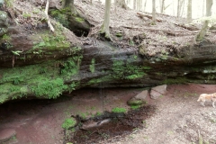 23. Aktivwanderung Rodalben 30.04.2016 035