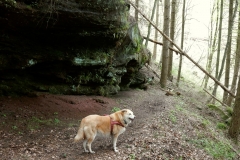 23. Aktivwanderung Rodalben 30.04.2016 036