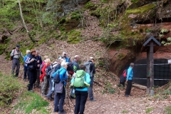 23. Aktivwanderung Rodalben 30.04.2016 045