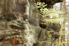 23. Aktivwanderung Rodalben 30.04.2016 062