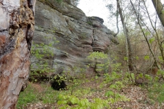 23. Aktivwanderung Rodalben 30.04.2016 074