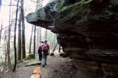 23. Aktivwanderung Rodalben 30.04.2016 084