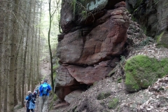 23. Aktivwanderung Rodalben 30.04.2016 094