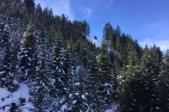 Ski- & Snowboardcamp 201603