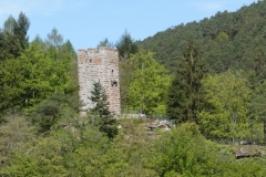 DSC04773