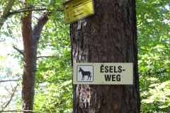 Aktivwanderung_1509_17