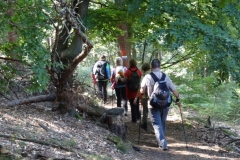 Aktivwanderung_1509_19