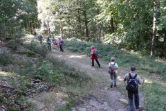 Aktivwanderung_1509_20