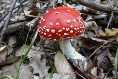Aktivwanderung_1509_22