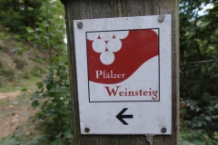 Aktivwanderung_1509_25