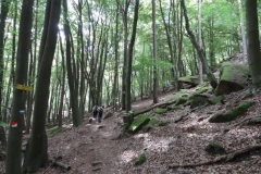 Aktivwanderung_1509_26