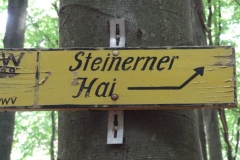 Aktivwanderung_1509_27