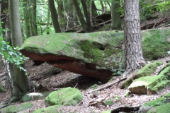 Aktivwanderung_1509_28