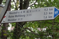 Aktivwanderung_1509_29