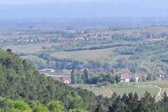 05_20260425_155552