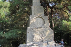 K800_IMG_5115