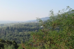 K800_IMG_5119