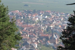 K800_IMG_5135