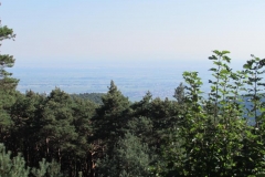 K800_IMG_5154