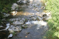image012