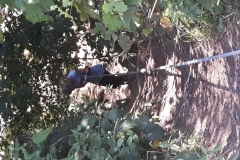 Image1