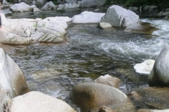 CIMG3142