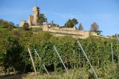 01_Wachenheim 29.09 (5)