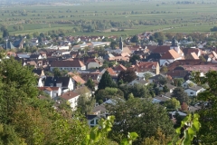 06_Wachenheim 29.09 (7)