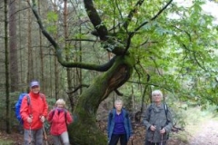 09_30.-Aktivwanderung-28.09-14