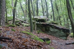 13_30.-Aktivwanderung-28.09-24