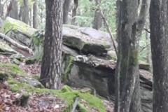 20190928_112317