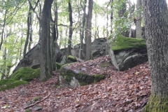 20190928_112539