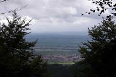 20190928_115131