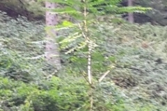 20190928_145158
