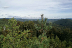 01_IMG_20211002_122414