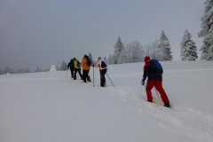 Schneeschuh201404